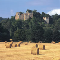 Dunster Castle