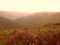 Exmoor Valley